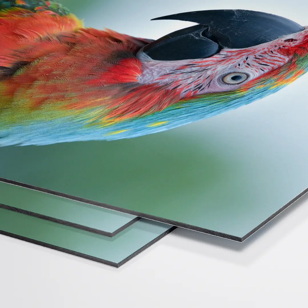 Cuadro de Aluminio Dibond Personalizado