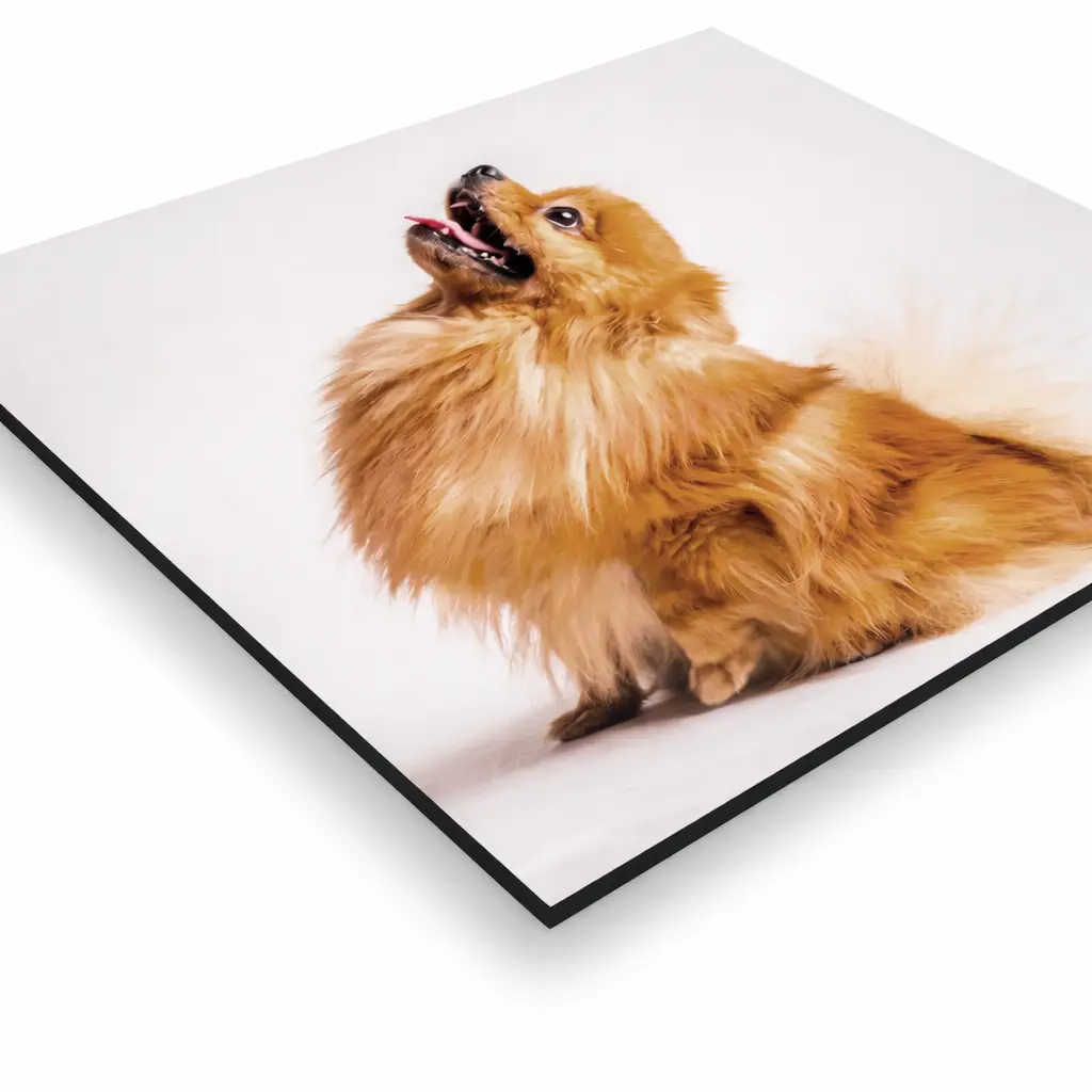 Cuadro de Aluminio Dibond Personalizado