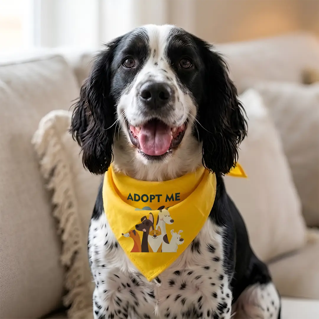 Pañoletas personalizadas